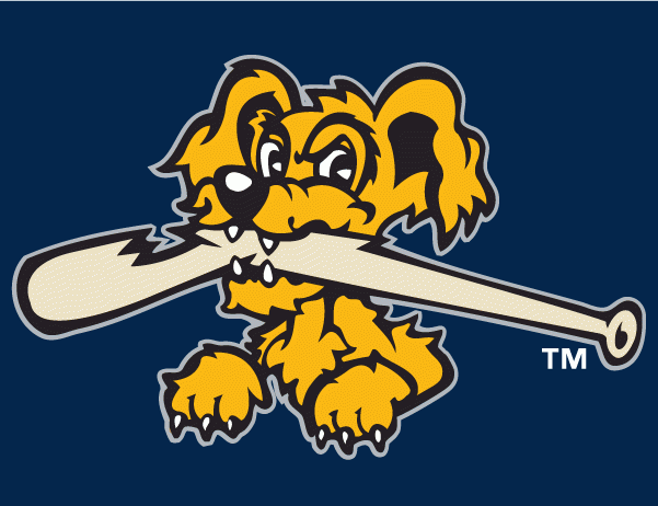 Charleston Riverdogs 2011-2015 Cap Logo v2 iron on transfers for T-shirts